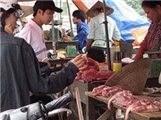 Bóng đá anh, ngoại hạng anh, lịch thi đấu euro 2012, Nguy cơ ngộ độc khi trữ nhiều thực phẩm Tết